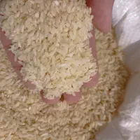 برنج چمپا درجه یک 1404|خوردنی و آشامیدنی|اصفهان, خرم|دیوار