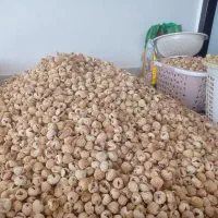 فروش انجیر از تواید کننده عرضه مستقیم بدون واسط