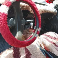 وانت مدل ۹۳|خودرو سواری و وانت|ایرانشهر, |دیوار