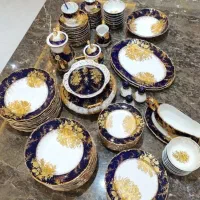 سرویس پذیرایی چک