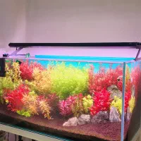 تجهیزات حرفه ای آکواریوم پلنت