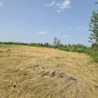 2000متر-زمین-شالیزار-و-باغ-50متری-جاده-اصلی