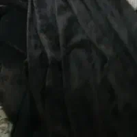 چند عدد پرده باقیمت مناسب بفروش میرسد|پرده، رانر، رومیزی|شیراز, تحویلی|دیوار