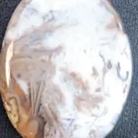 شجر زمستانه|جواهرات|اهواز, پادادشهر|دیوار