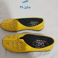 کفش|کیف، کفش، کمربند|یاسوج, |دیوار