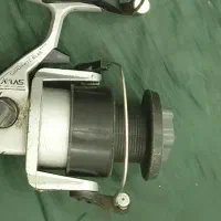 لنسر ماهیگیری|ماهیگیری|گنبد کاووس, |دیوار