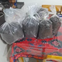 چای لاهیجان