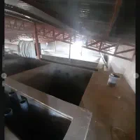 فروش پروش ماهی