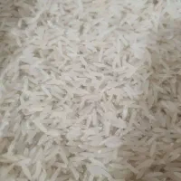 برنج فجر سوزنی