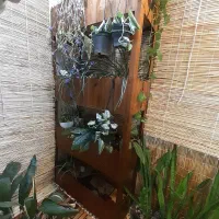 استند گل|گل و گیاه طبیعی|خمینی‌شهر, |دیوار