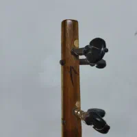 سه تار مجتبی حرفه ای