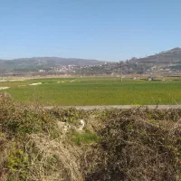 موقعیت خوب در شهر ساری (هولار)|فروش زمین و ملک کلنگی|پایین هولار, |دیوار