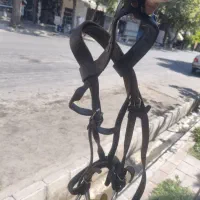 دست جلو نرم اسب|اسب و تجهیزات اسب‌سواری|مراغه, |دیوار