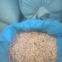 لوبیا چیتی درجه یک برداشت امسال  ۳۸۰|خوردنی و آشامیدنی|رستم, |دیوار