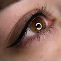 مدل میکروبلیدینگ ابرو ، شیدینگ لب رایگان|خدمات آرایشگری و زیبایی|تهران, شهرک ولیعصر شمالی|دیوار