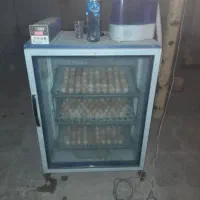 دستگاه جوجه کشی
