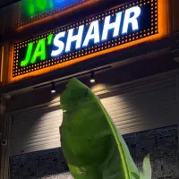 استخدام کمک آشپز آقا «جاشـهر»