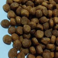 غذای خشک سگ قیمت مناسب عمده