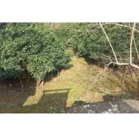 فروش زمین مسکونی ۲۳۵ متری زیر قیمت در شهر قائمشهر