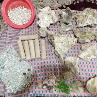 آکواریوم|ماهی|بازرگان, |دیوار