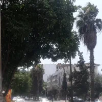 فروش مغازه تجاری بر اصلی فرودگاه