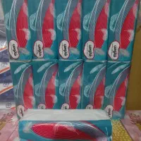 دستمال کاغذی فروش عمده|مواد شوینده و دستمال کاغذی|اراک, |دیوار