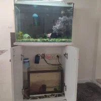اکواریوم با لوازم و پایه