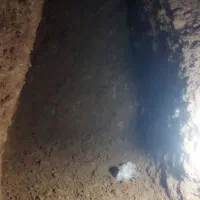 چاه کن|خدمات پیشه و مهارت|بجنورد, |دیوار