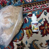 قفس مرغ عشق و عروس هلندی|لوازم جانبی حیوانات|مشهد, رده|دیوار