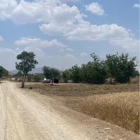 فروش زمین باغی بعد از اردوگاه امام خمینی|فروش زمین و ملک کلنگی|خمین, |دیوار