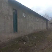 گاوداری ۱۵۰ راسی|فروش دفتر صنعتی، کشاورزی، تجاری|ثمرین, |دیوار