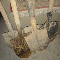 پنچ عدد بیل