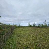 فروش زمین ۴۰۰۰ متری / کلا مستثنیات/ویو جنگلی