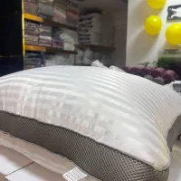 نیروی کار خانم