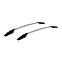 روف ریل کوییک