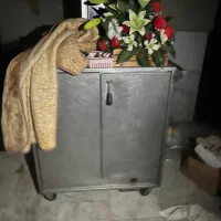 دو عدد گرم کن غذا به همراه چرخ
