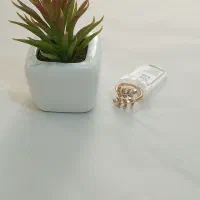 بدلیجات آی ام نو یک کیلو