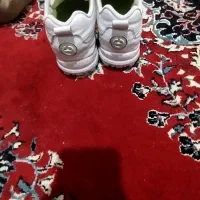 کفش اسپورت بچگانه|کفش و لباس بچه|شیراز, شهرک دارایی|دیوار