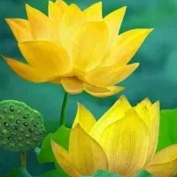 سوئیت ۴۰متری مهداب طالقانی ۱۸