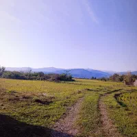 ۵۰۰متر داخل بافت دور دیوار|فروش زمین و ملک کلنگی|احمدسرگوراب, |دیوار