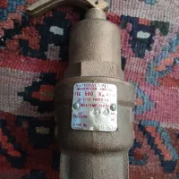 شیر اطمینان