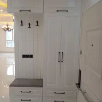 نقاش وبولیسترکارماهر ونیمه ماهر نیازمنم