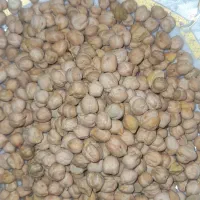 نخود خوشپخت و بوجاری شده کیلو ۱۴۰ تومن