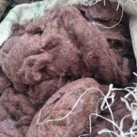 فروش مقداری پرز بالشت و تشک|رختخواب، بالش، پتو|گناباد, |دیوار