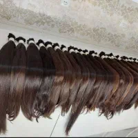 صادر کننده اصلی مو استان گلستان بدون واسطه