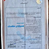 ثبت برند نام تجاری علامت تجاری