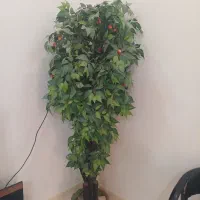 درخت مصنوعی|گل مصنوعی|اهواز, آریاشهر|دیوار