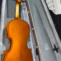 ویالون|ویولن|سیرجان, |دیوار