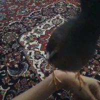 جوجه مینا