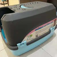 ظرف خاک گربه